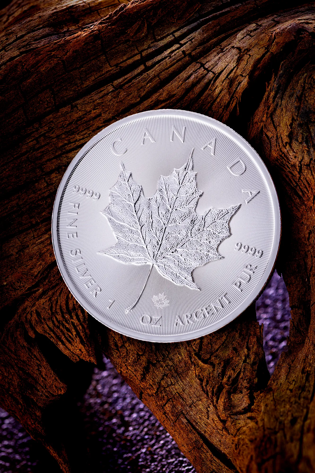 Canadian Silver Maple Leaf Coin Numismatic — product photography by Stephen Galea, Malta